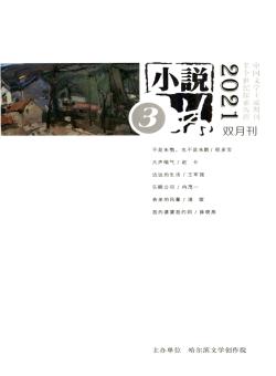 小说林期刊